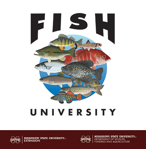 Fish University